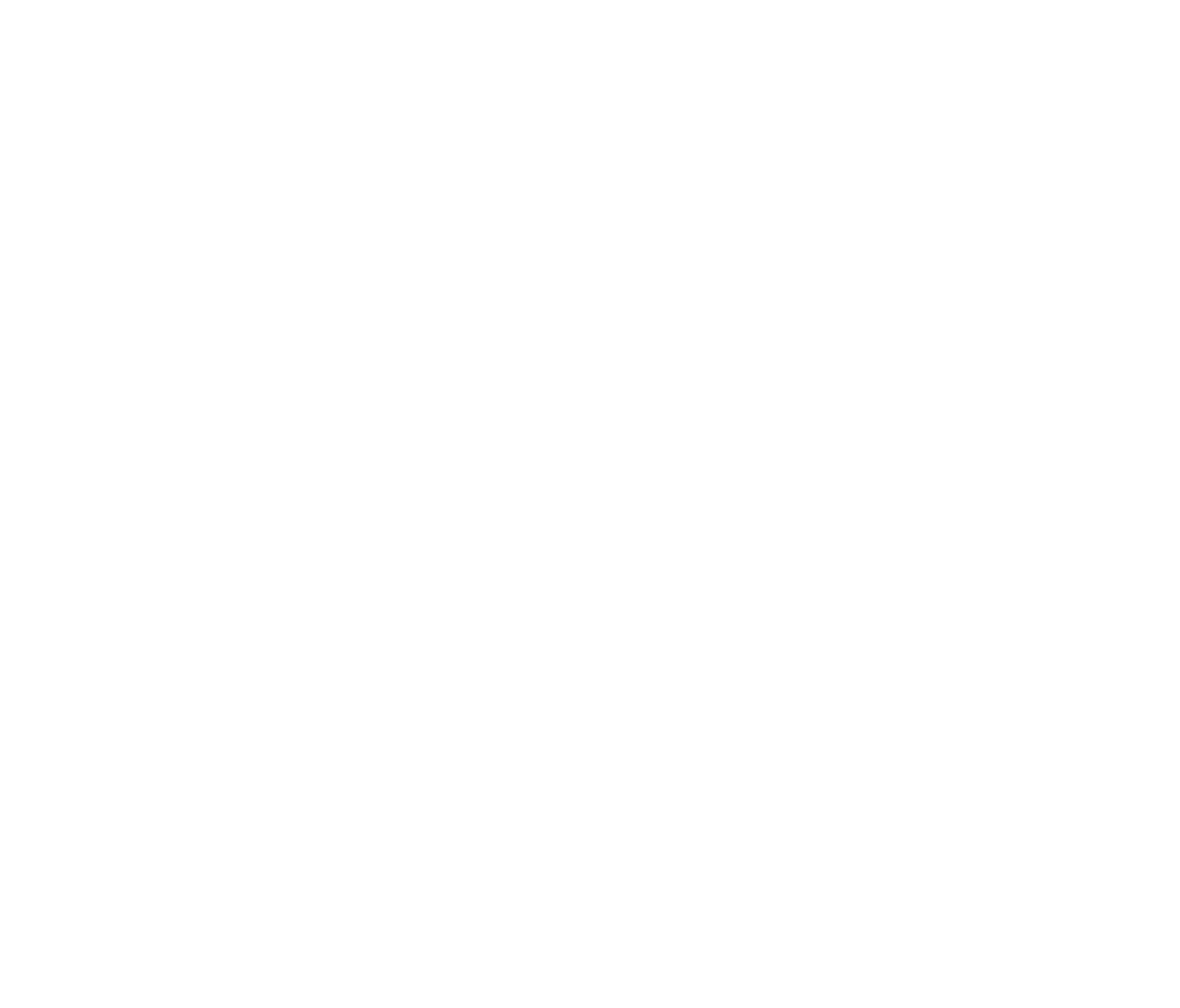 Logo PUDI